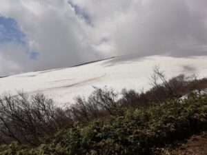 IMG_20230516_130525