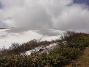 IMG_20230516_130530
