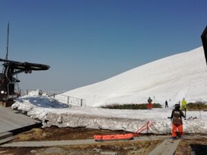IMG_20230517_085249