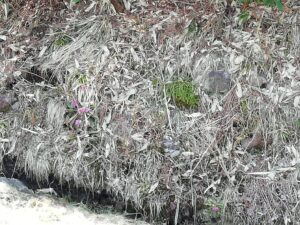 IMG_20230517_095252