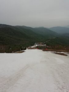 IMG_20230519_091326