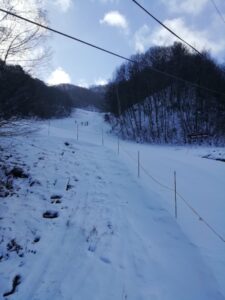 IMG_20240107_084746