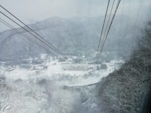 IMG_20240108_102251