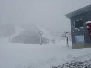 IMG_20240110_074654