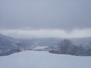 IMG_20240110_093520
