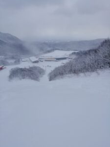 IMG_20240110_094259