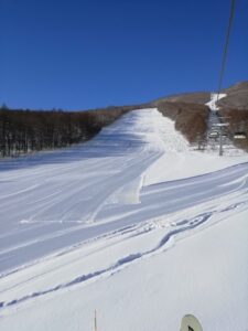IMG_20240111_091957 IMG_20240111_091957