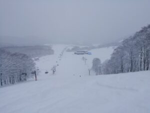 IMG_20240112_110844 IMG_20240112_110844
