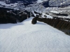 IMG_20240219_090444