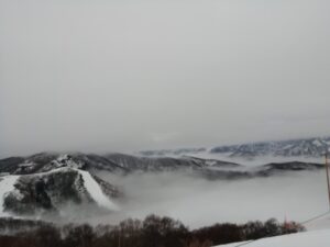 IMG_20240221_085832