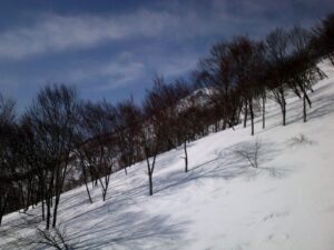 DSCF0094