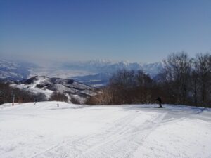 IMG_20240315_090816