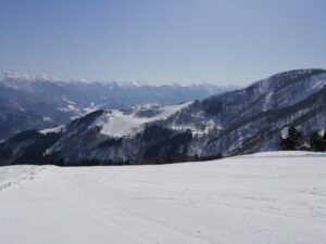 IMG_20240315_095051