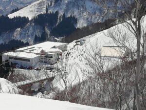 IMG_20240315_110021