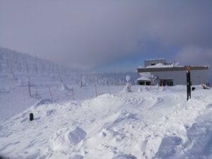 IMG_20240316_090111