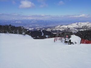 IMG_20240316_093402