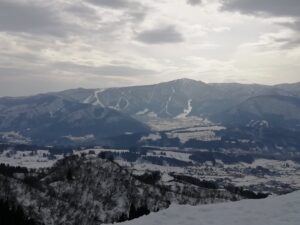 IMG_20240317_085244