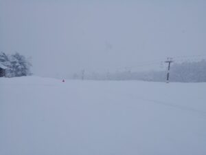 IMG_20240320_074007