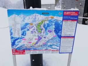 IMG_20240320_084406