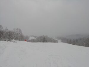 IMG_20240320_094324