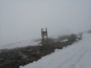 IMG_20240507_084633
