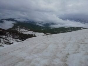IMG_20240507_114730