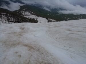 IMG_20240507_114811