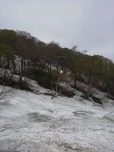 IMG_20240509_114907