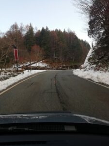 IMG_20241203_075021
