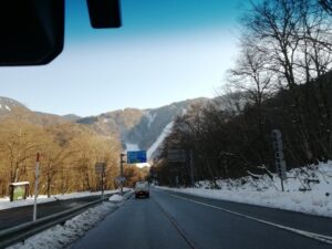 IMG_20241203_092619