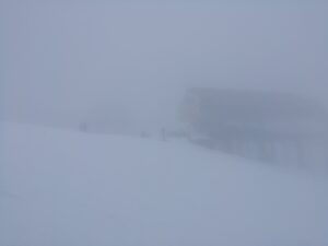 IMG_20241204_100007