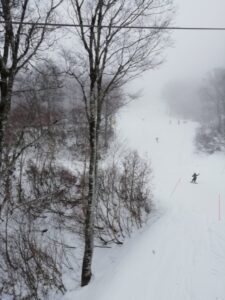 IMG_20241204_100602