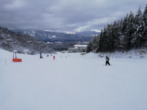 IMG_20241209_115843