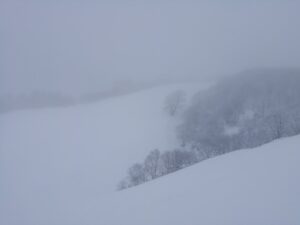 IMG_20241216_094600