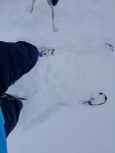 IMG_20241216_095022