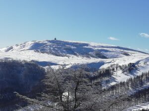 IMG_20250111_101442