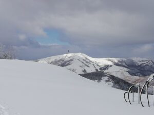 IMG_20250213_111422