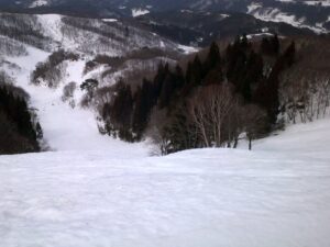 DSCF0005