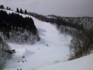 DSCF0011