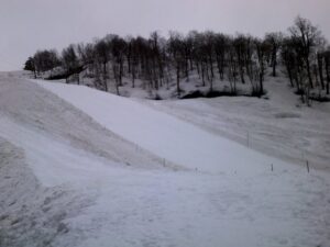 DSCF0011