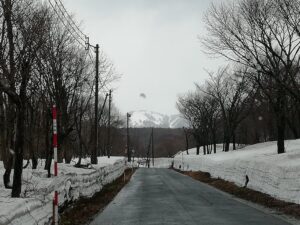 IMG_20250416_142433
