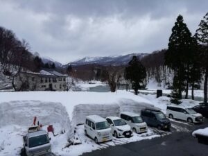 IMG_20250416_143902